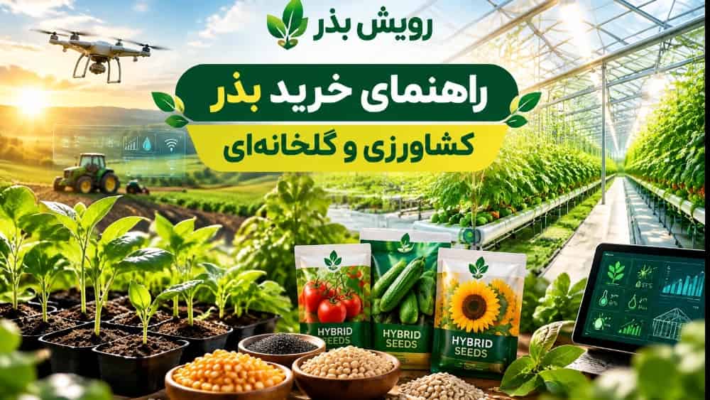 راهنمای جامع خرید بذر کشاورزی و گلخانه‌ای؛ از تشخیص اصالت تا تضمین باردهی بالا