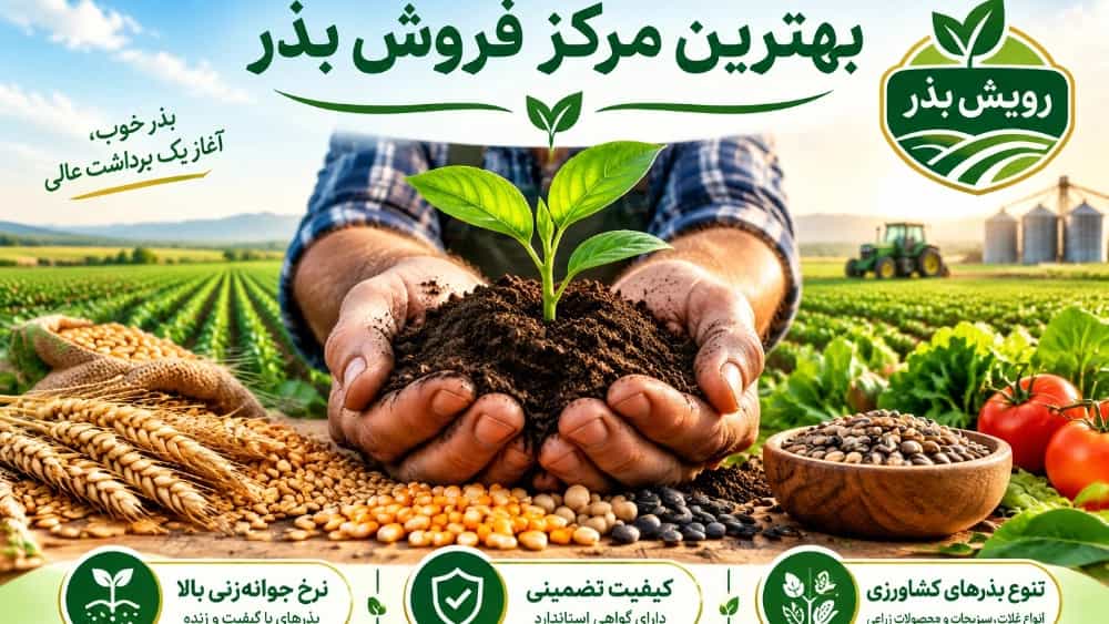 راهنمای جامع خرید بذر کشاورزی: شاخصهای انتخاب، فناوری تولید و استاندارد کیفی | رویش بذر راهنمای جامع خرید بذر کشاورزی: شاخصهای انتخاب، فناوری تولید و استاندارد کیفی | رویش بذر